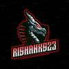 rishanks23
