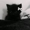 nikaxwn