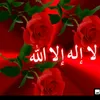 rukhsana12311