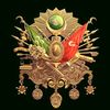 5kazadiyari