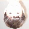 _airfryan