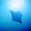 kojinaga123