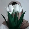 shucidamaiyanti