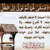 user855158134640