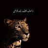 amirahamd06