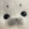 theyluvvghosty