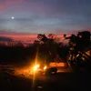 nguyenchung78h1