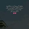 shazadiayesha1