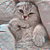 unitaq_qq
