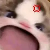 pamtaouyen