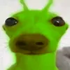 thisis_unc_dom
