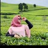 puutsyaalala