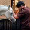محمد الورفلـًي