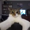 pregnantjellybean24