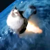 dzomanidzordzo