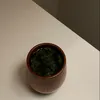 jasmenh3