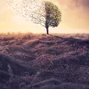 userzycldwxbps