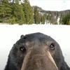 brotherben04
