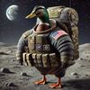 spacewaterfowl