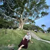chuchay_zd