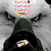 waheed5554