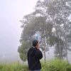 ndm_altf