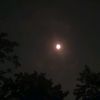 lightningsuns