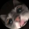 baruss4dz