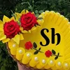 shahen1503