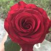 ruwgun_653