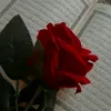 user02zjfsyy44