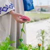 touriakhiwakh1