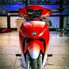 rai_8374