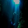 guide_menjangan