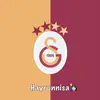 hayyus38