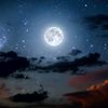 little.moonlight.shines