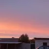 sfkpnk