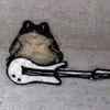 frog_punk