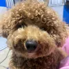.mylinh3112