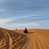 kawfly