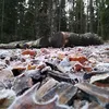 console_war.soilder