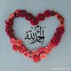 noorh_934116