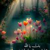 donia.adel03