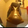enas_bro