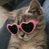 layla_lils