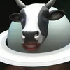 zzwxfvv