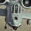 the_a10warthog