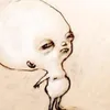 lrzdot