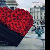 user3483260435807