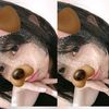 jizayaaa